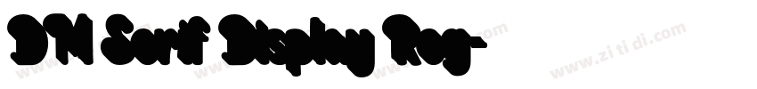 DM Serif Display Reg字体转换